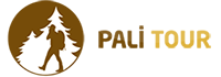 palitur Logo